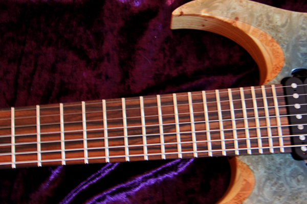 RAN Crusher 7 String Custom Electric Guitar. 10